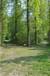 foto kruising twee dreven