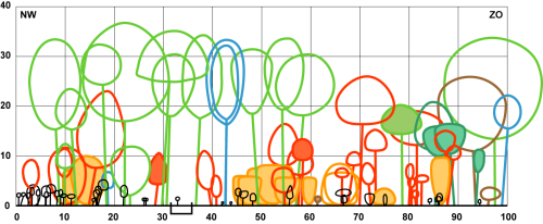 profieltekening transect 2005
